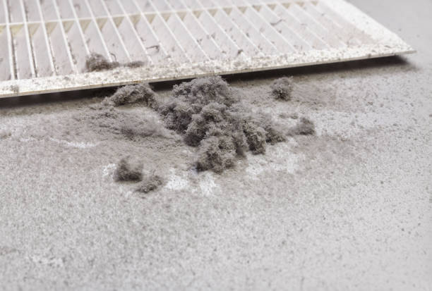 Best Air Duct Cleaning Company Near Me  in Calumet Park, IL
