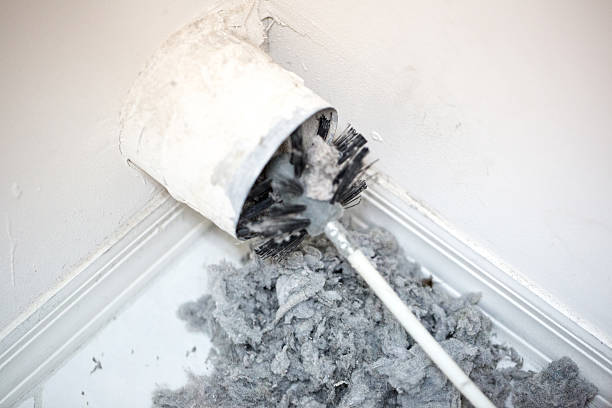 Best HVAC Air Duct Cleaning  in Calumet Park, IL