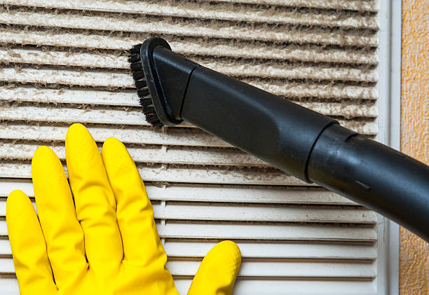 Best Affordable Duct Cleaning Services  in Calumet Park, IL